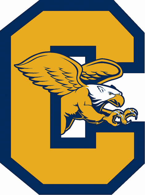 Canisius Golden Griffins 2006-Pres Alternate Logo iron on paper